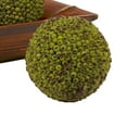 thumbnail image 3 of 4" Berry Ball (Set of 6), 3 of 6