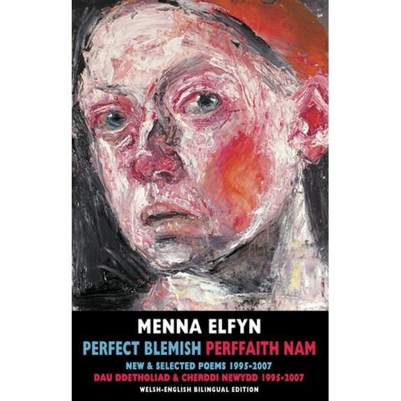 Perfect Blemish / Perffaith Nam: New & Selected Poems 1995-2007 / Dau Ddetholiad & Cherddi Newydd 1995-2007 (Paperback)