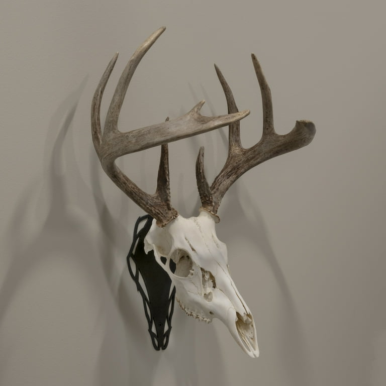 Allen Company Ez Mount Silhouette Skull Peg, Black - Walmart.com
