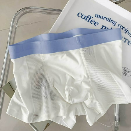 

ALSLIAO Men Underwear Boxer Briefs Ice Silk Shorts Panties Bulge Pouch Trunks Underpants White XL