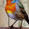 thumbnail image 5 of Pratyus Bird Shower Curtain Waterproof Bathroom Decor Set with Hooks, Kids Bathroom Shower Curtain 100% Polyester Fiber, Various Sizes 60"x72, 5 of 7