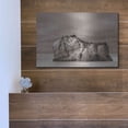 thumbnail image 5 of Luxe Metal Art 'Rock Solid' by Chris Moyer, Metal Wall Art, 16"x12", 5 of 9