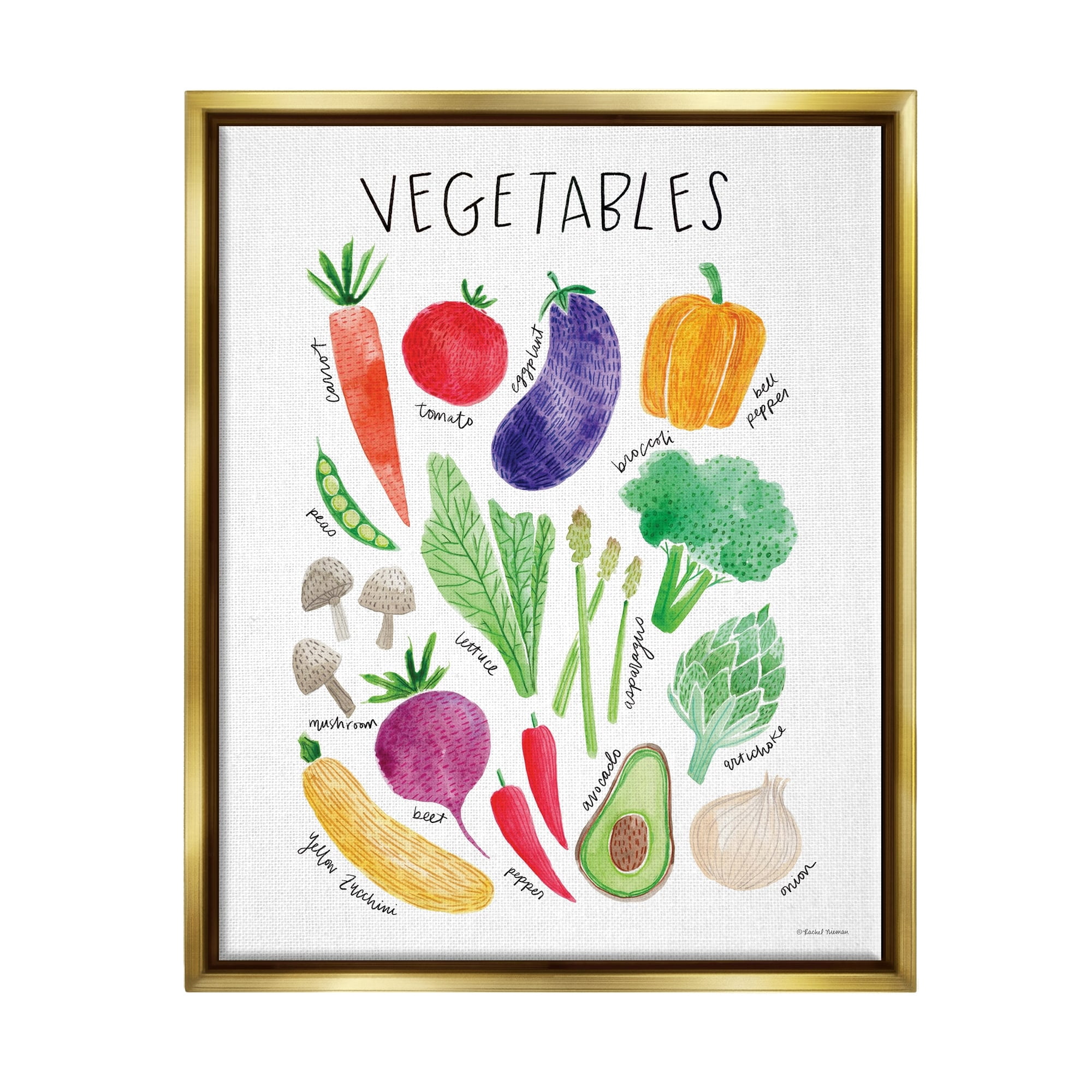 Stupell Industries Varied Vegetables Plants Labeled Diagram Kitchen Sign Graphic Art Metallic Gold Floating Framed Canvas Print Wall Art, Design by Rachel Nieman
