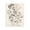 Vintage Pressed Flowers, variant on Simple Pressed Flowers Canvas Wall Art, design by Lettered and Lined