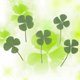 thumbnail image 2 of 24pcs Natural Pressed Dried Flowers Four-Leaf Clover Leaf Plant for DIY Resin Jewelry Making Art Craft, 2 of 4