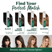 Herbatint Temporary Hair Touch-Up Dark Chestnut 10 ml Box