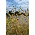 thumbnail image 2 of Moore, Brian 11x14 Black Ornate Wood Framed with Double Matting Museum Art Print Titled - Through the Grass II, 2 of 4