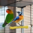 thumbnail image 4 of Mauxuk Blue Rope Bird Perch Stand - Chew Toy for Parrots, Cockatiels, Lovebirds - Durable Cage Accessory with Screws - Sharpening Stick - 9.84 Inches, 4 of 6