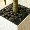 thumbnail image 5 of DR.Planzen UV Resistant 6ft Artificial Olive Tree in White Large Planter with Pebbles– Faux Olive Tree for Indoor and Outdoor Decor, Lifelike Greenery for Home & Garden Decor, 5 of 10