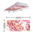 thumbnail image 2 of Octo Lights - Fluorescent Light Covers - 2x4 Flexible Ceiling Light Filters - For Classrooms and Offices - Flower 006, 2 of 2