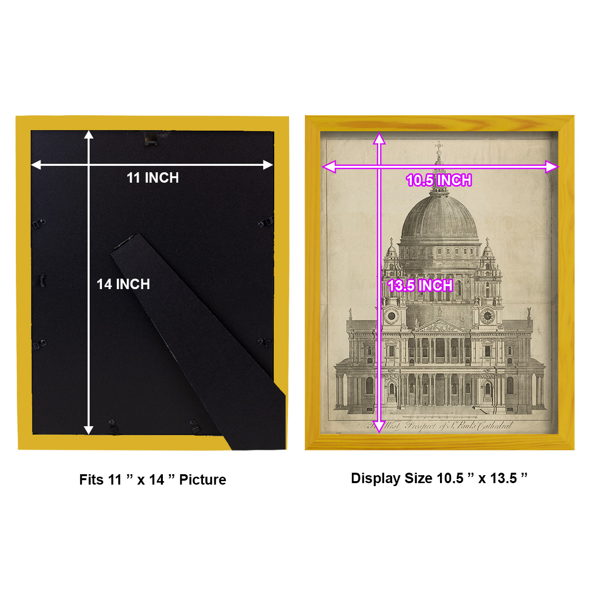 St. Paul's Cathedral -Framed Print w/glass-Sunflower Yellow