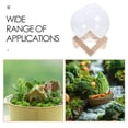 thumbnail image 2 of 1 Ensemble Terrarium en Verre Transparent Rond Rétro Support en Bois pour Décoration Intérieure 12.00X10.00X8.50CM, 2 of 9
