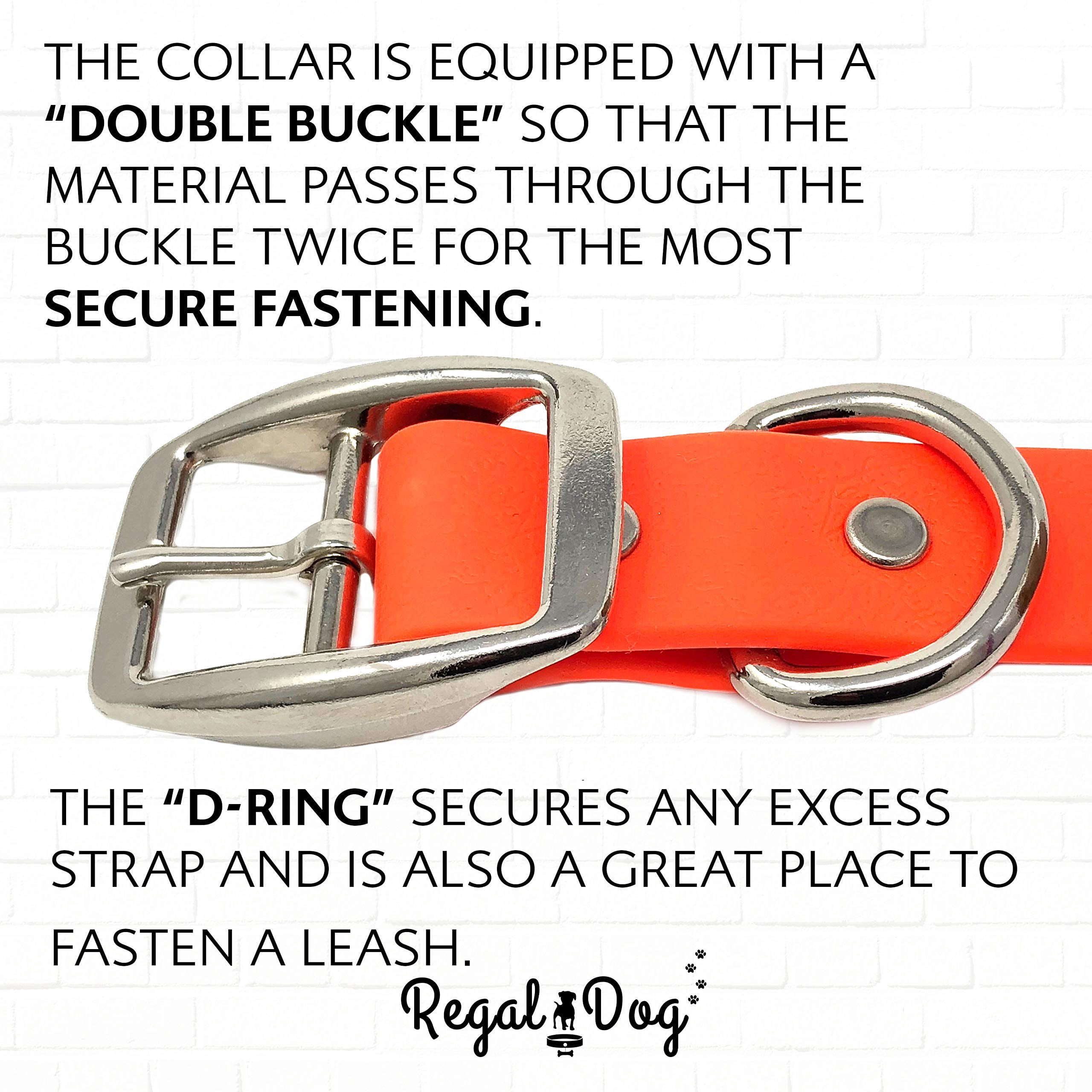 Regal Dog Products Waterproof Collar with Double Buckle and D Ring