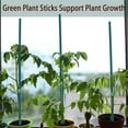 thumbnail image 5 of NOGIS 20 Pcs Plant Sticks Green Plant Stakes, Garden Wood Plant Stakes for Indoor and Outdoor Plants, Sturdy Garden Wood Bamboo Sticks, Floral Plant Stakes for Garden Potted Plants（15 in）, 5 of 7