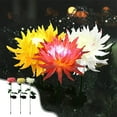 thumbnail image 1 of Fiudx Luces Solares de Crisantemo, Luces Led para Jardín Exterior, Impermeables Ip65, Control Automático de Luz, Energía Solar, Elegante Decoración Floral, Patio, Fácil Instalación, 78 X 5 X 5 Cm, 1 of 6