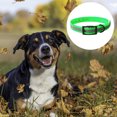 thumbnail image 3 of Translucent reflective waterproof dog collar strong coated nylon webbing with black hardware, 3 of 5