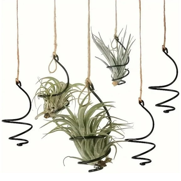 Tutuviw 6 Pcs Air Pineapple Pot Air Plant Hanger Holder,Plant Stands Hanging with Jute Ropes,Modern Plants Hanger Wall Metal Air Plants Stand,Air Plants Hook Air Shelf (Black Aluminum)