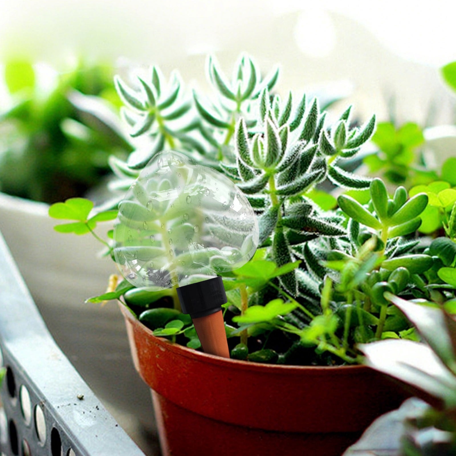 Boules D'arrosage Pour Plantes En Forme De Cœur - Réservoirs D'eau Autonomes En PVC - Pour Plantes D'intérieur Et Extérieur