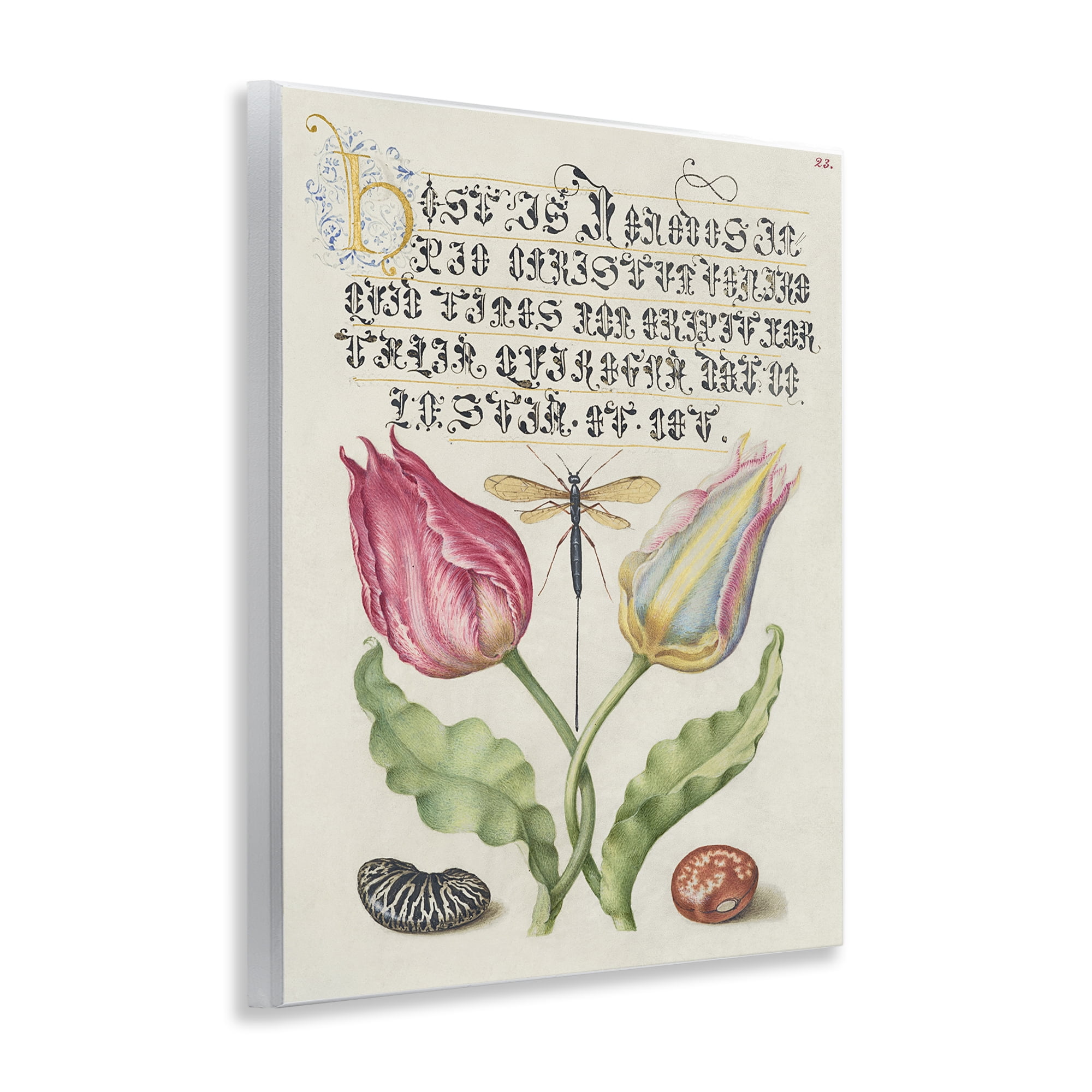 Stupell Industries Vintage Intertwined Flowers Text & Numbers Painting Unframed Art Print Wall Art, 11 x 14