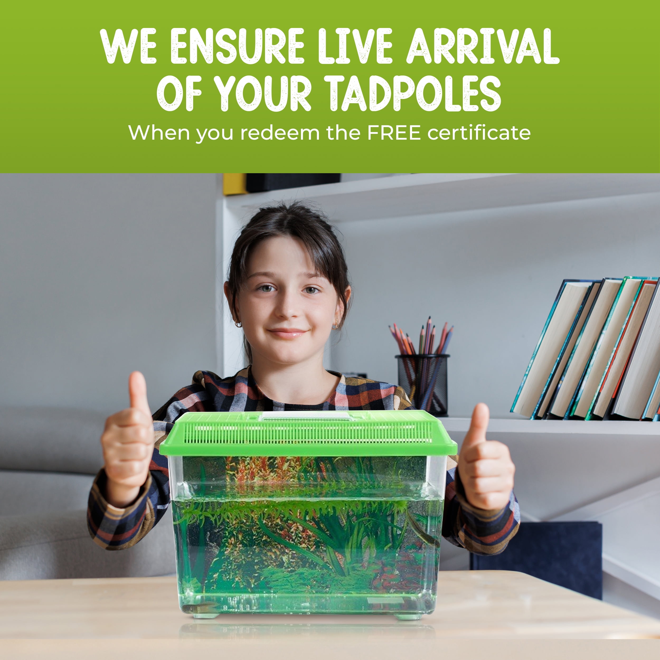 Complete Tadpole to Frog Kit with Habitat - Educational Set with