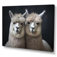 thumbnail image 2 of Designart "Two Alcapas beautyful Guardians IV" Animals Canvas Print, 2 of 5