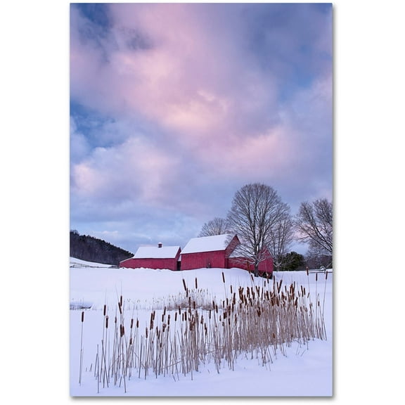 Trademark Fine Art "Cat O'Nine In Snow" Canvas Art by Michael Blanchette Photography