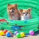 thumbnail image 4 of Piscina inflable para niños, piscina infantil de pvc verde, portátil y fácil de inflar con bomba para diversión de verano, 4 of 7