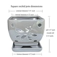 thumbnail image 3 of Orchid Pots with Holes Square Ceramic Orchid Planter Pots 5.5 inch (Gray), 3 of 9