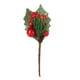 thumbnail image 4 of Ramo de bayas simulado ANGGREK con hojas verdes y frutos rojos Estilo 9, 4 of 8