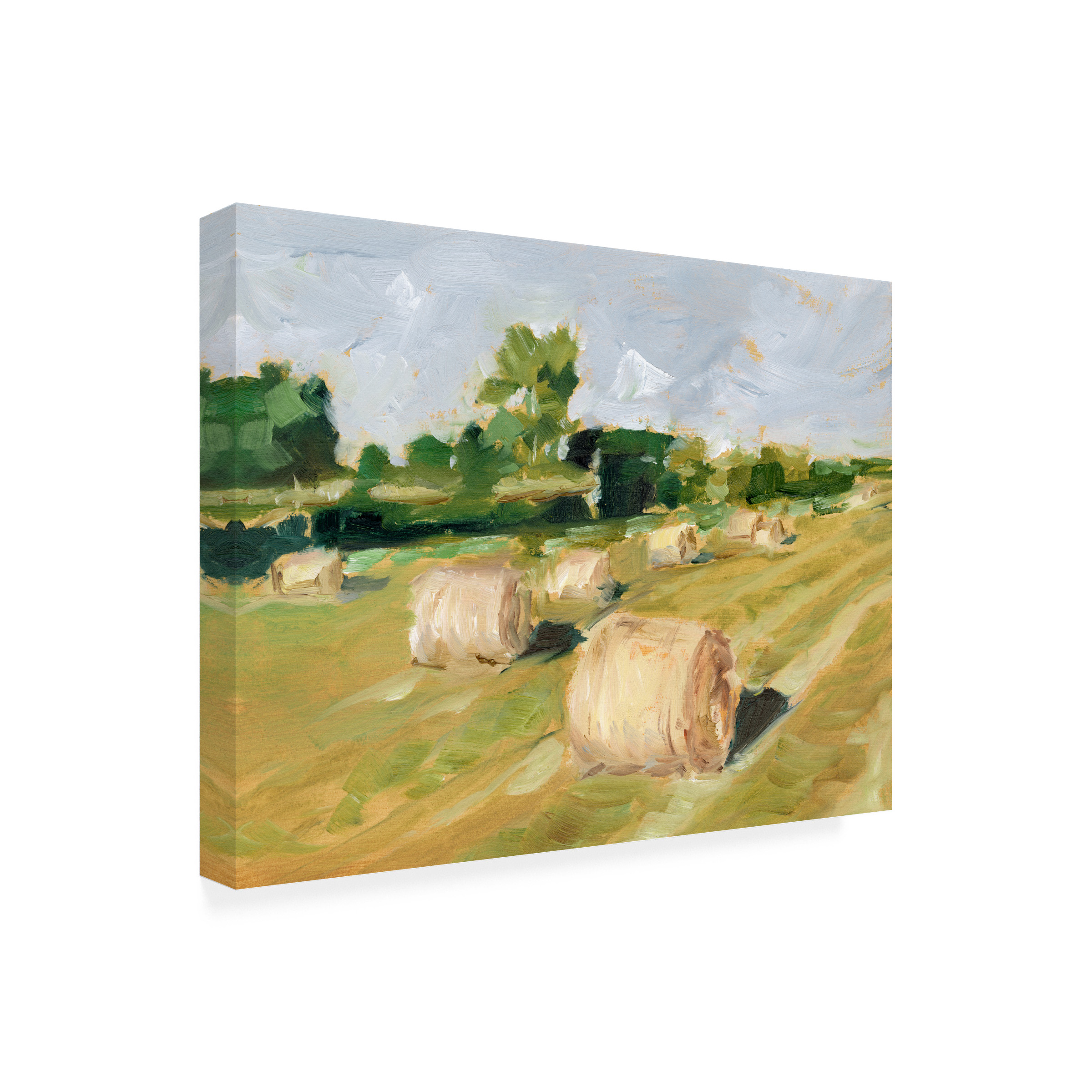 Ethan Harper 'Hay Field II' Canvas Art