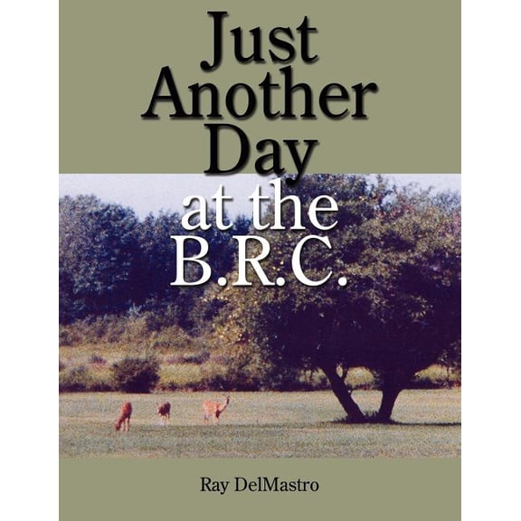 Just Another Day at the B.R.C. (Paperback)