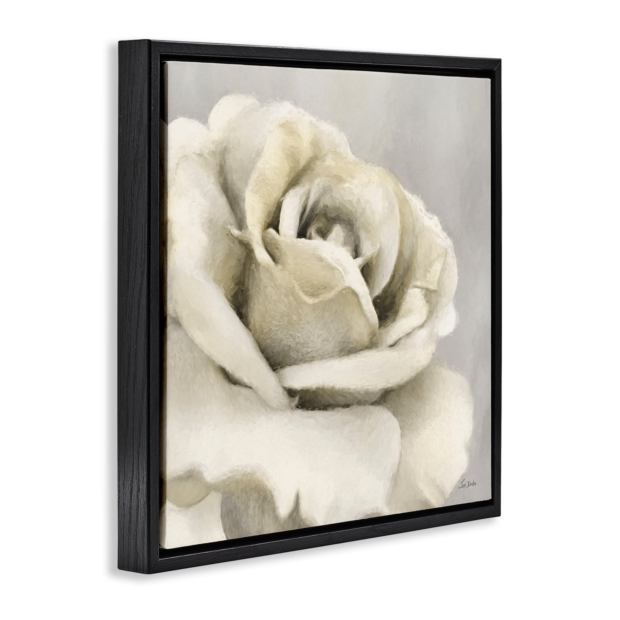 Stupell Industries Curling Rose Petals Botanical & Floral Painting Black Floater Framed Art Print Wall Art, 18 x 18