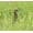 Brown, variant on 30 PCS Landscape Edging Garden Stakes, 10 Inch Black Landscaping Anchoring Spikes Heavy Duty Plastic Garden Ground Netting Stakes for Edging, Terrace & Garden