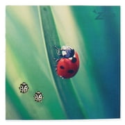 Zad Jewelry Ladybug Stud Earrings, Silver