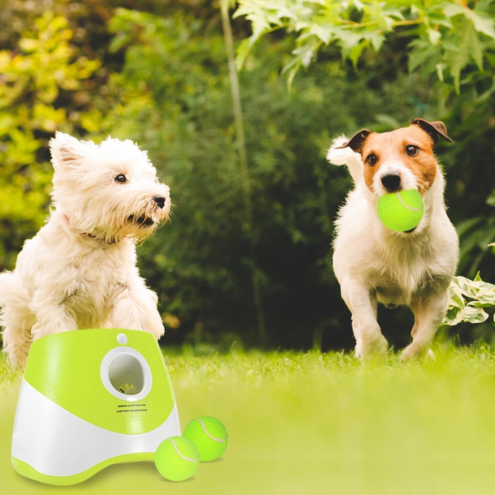 SQDWYGUO Automatic Dog Ball Thrower Launcher with 12 PCS Tennis Balls,Thrower Distance 10-30ft, Interactive Dog Fetch Machine Toy for Small Dogs,New Green