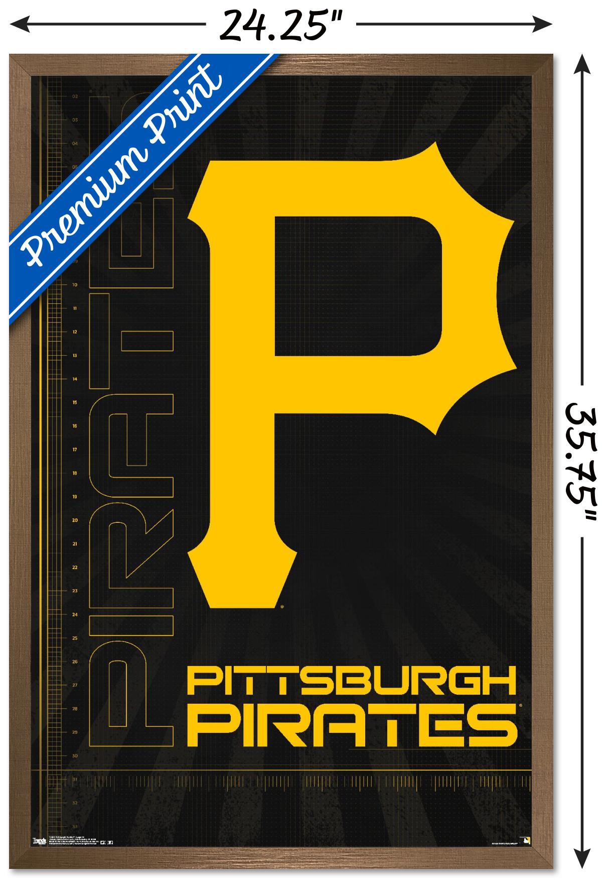 MLB Pittsburgh Pirates - Logo 16 Wall Poster, 22.375" x 34", Framed