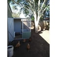 thumbnail image 5 of Absco AB1201 5 x 5 ft. Chicken Coop - Pale Eucalypt, 5 of 12