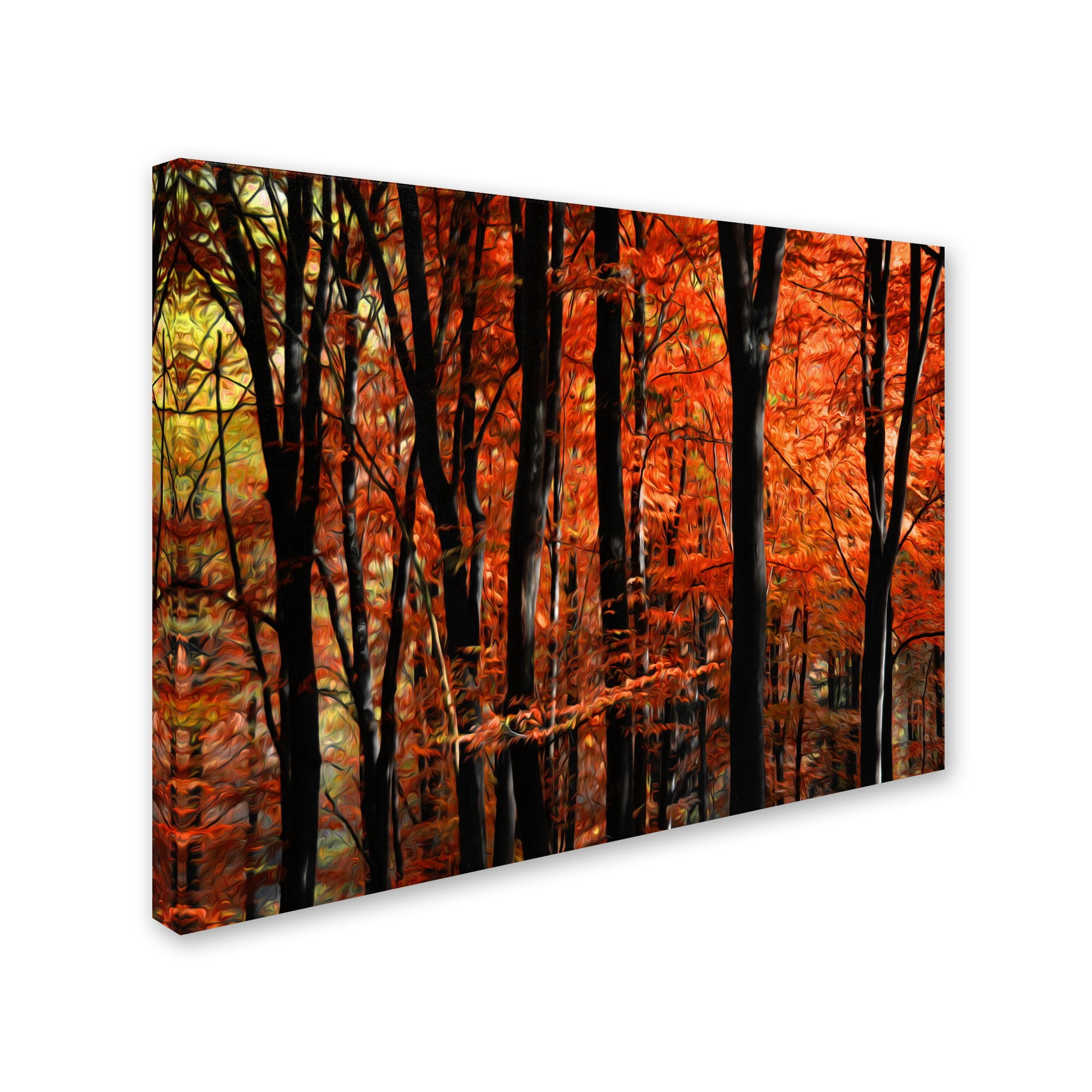 Trademark Fine Art "Indisputable Truth" Canvas Art by Philippe Sainte-Laudy