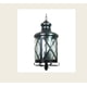 thumbnail image 2 of Lampara colgante San Luis 2 luces Cafe Iluminación Luz Vic Innovador, 2 of 2