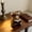B, variant on AURIGATE Highland Cow Figurine Collection, 2 Optional Designs (Toilet Paper Tangled / Reading with Glasses) Resin Statues for Home Decor, Office Accents & Funny Gifts