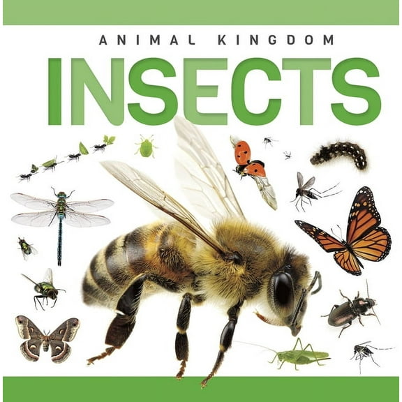 Insects, (Hardcover)