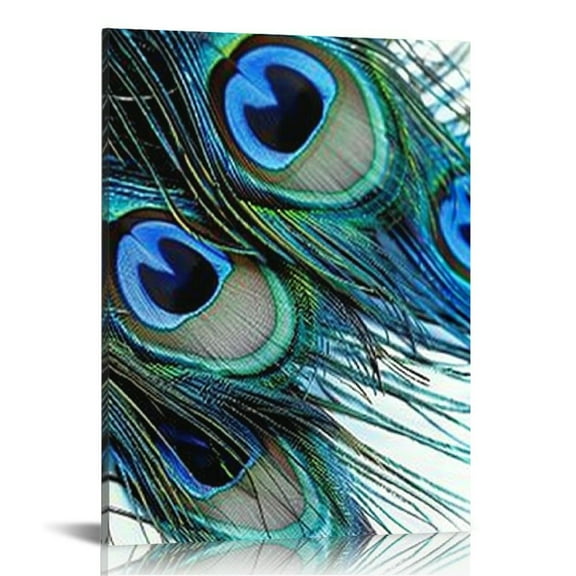 BCIIG Peacock Feathers Fine Art Aesthetic Canvas Wall Painting for Home Office Wall Decor - Set of 2 Prints 12x16 in