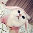 thumbnail image 2 of Sudadera con capucha para mascotas, traje de conejo y gato con Orejas de conejo, sudadera bonita para primavera y otoño, 2 of 7