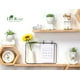 thumbnail image 5 of Set de plantas suculentas artificiales de 3 piezas con macetas para decoración del hogar, 5 of 6