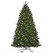 thumbnail image 3 of 5.5' x 44" Oregon Fir Outdoor Ariticial Christmas Tree Featuring 693 UV Resistant PVC Tips Metal Stand, 3 of 3