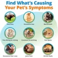 thumbnail image 4 of 5Strands Pet Food & Environmental Intolerance Test for Dogs & Cats, Nutrition & Metals and Minerals Imbalances - at Home Sensitivity Testing, 1036 Items, Results in 5 Days, All Ages and Breeds, 4 of 6