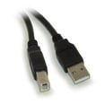thumbnail image 2 of 6ft USB 2.0 Certified 480Mbps Type A Male to B Male Cable, Black, 2 of 2