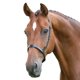 thumbnail image 1 of Blenheim - Muserola para Caballo Cuero (Negro), 1 of 2