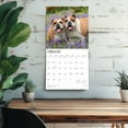 thumbnail image 5 of Bulldogs | 2026 12x24" (Hanging) Square Wall Calendar | Plastic-Free | BrownTrout, 5 of 9