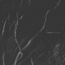 Fvnerals - Wounds - Music & Performance - CD